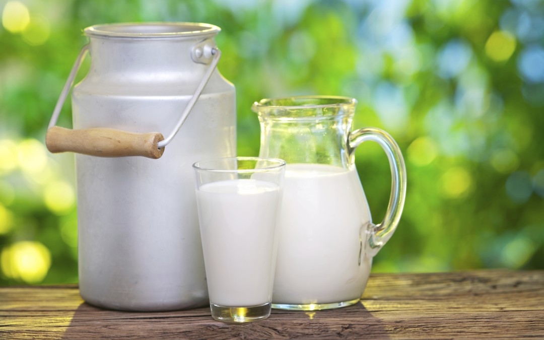 Latte in polvere, Lori: “Difendere la produzione lattiero-casearia”