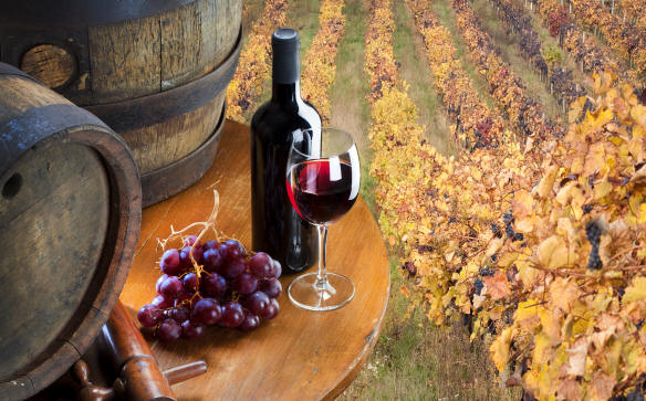 Vino: 20 ml€ ai produttori dell’Emilia-Romagna.